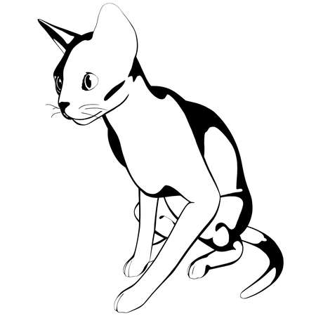 Cat sketch on a white background. Sphynx silhouette vector, pet illustrationのイラスト素材
