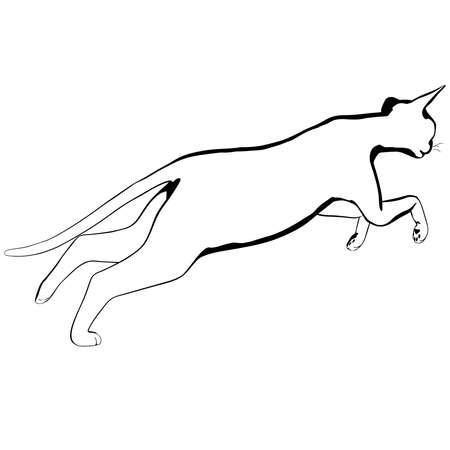 Cat sketch on a white background. Sphynx silhouette vector, pet illustrationのイラスト素材