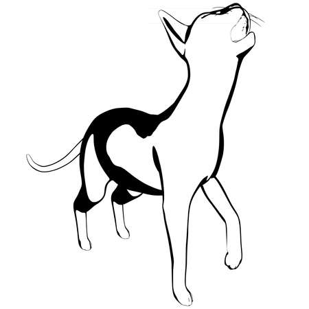Cat sketch on a white background. Sphynx silhouette vector, pet illustrationのイラスト素材