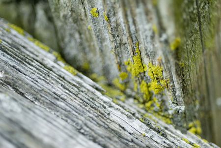 Speckles of yellow paint  on woodの写真素材