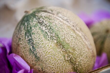 Cantaloupe in a purple wrapped cardboard box. の写真素材