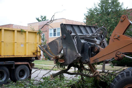 A truck removing broken fallen branches on the side of the road.