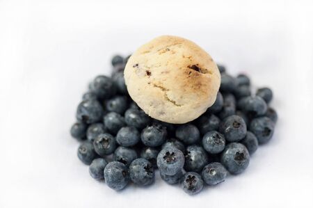 A handmade blueberry cookie on a pile of fresh blueberries on a white background.の写真素材