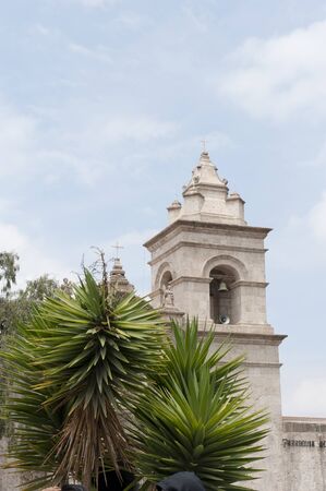 A view of palm trees in Arequipa in Peru on a sunny day.の写真素材