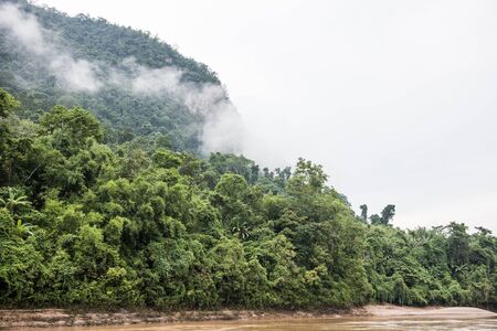 Mountain Phou Si on the Mekong river. The lush green forest covers it like green blanket. The view...