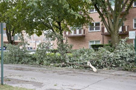Broken trees in front of an apartment building on a cloudy dayの写真素材