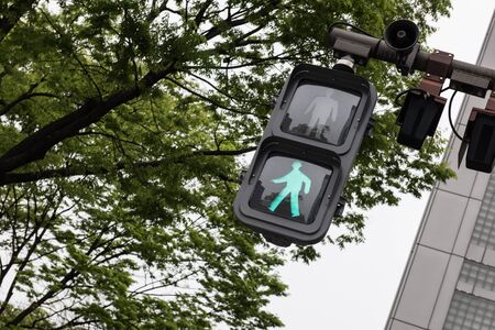 A walking green signal is seen in the picture along with some trees and a building and a loudspeaker. A clear bright sky can be seen in the picture.の写真素材