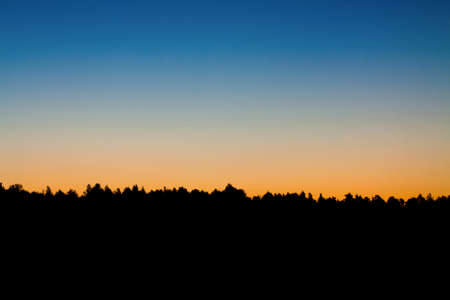 A natural gradient from blue to orange over the wood.の写真素材