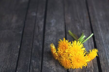 Dandelion bouquet on rustic woodの写真素材