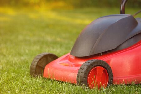 Lawn mower cutting green grass in backyardの写真素材