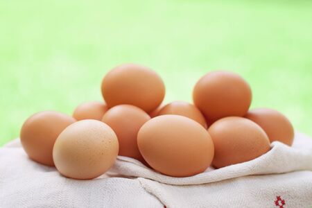 Fresh chicken eggs on white towel on bright green background