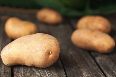 Fresh harvested potatoes on a rustic wooden tableの写真素材