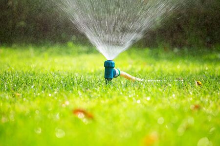 Lawn sprinkler spraying water over grass in garden on a hot summer dayの写真素材