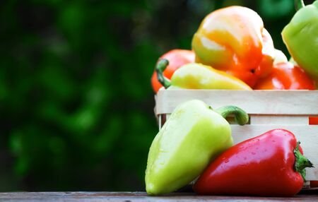 Sweet colorful bell peppers on rustic backgroundの写真素材