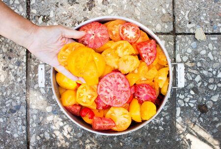 Colorful tomato slices in a pan with woman handの写真素材