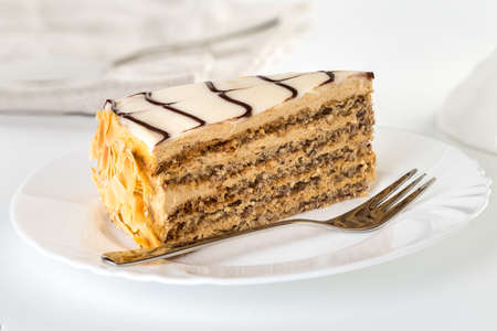 Slice of traditional hungarian chocolate almond cake Esterhazy on white plateの写真素材