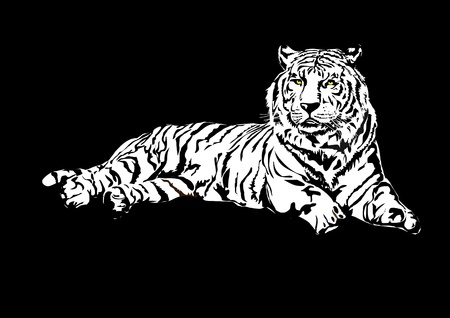 Siberian tigerのイラスト素材