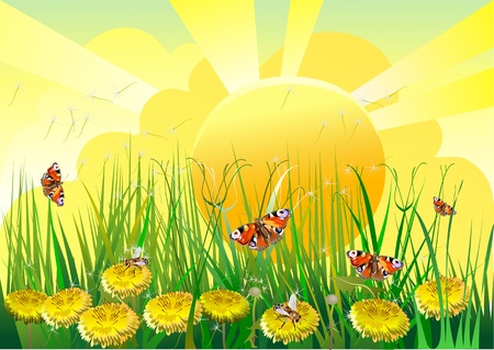 Summer sunny day  and bee. Yellow colors.のイラスト素材