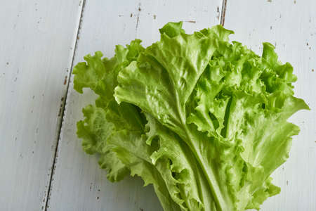 a head of lettuce on white background copy space