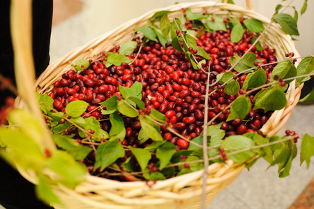wedding decor berry at restaurant with all beauty and flowersの写真素材