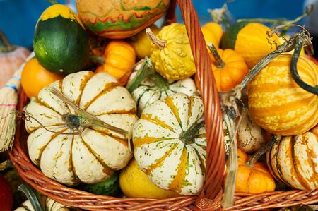 Different Colored Pumpkins at the farmers marketの写真素材