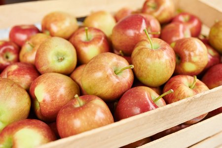Apples at the farmers market red colorの写真素材