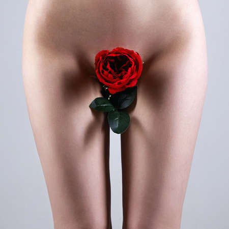 Nude perfect Body. Young Sexy Woman with Flower. Naked Girl with a rose instead of pantiesの写真素材
