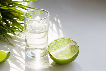 tequila and lime in sunny Lights. drinks still life. traditional mexican drink