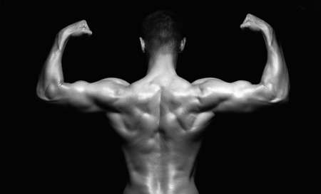 bodybuilders male back. Body  muscular Man. Sport Gym Conceptの写真素材