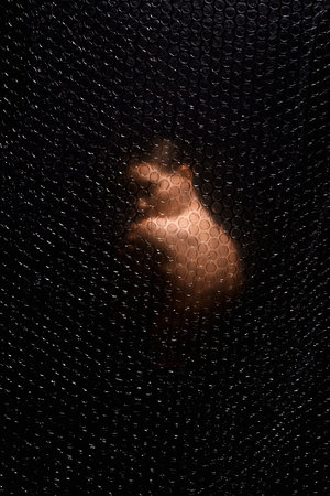 beautiful nude woman. sexy girl behind a polyethylene film. fine art photo. figure of a naked woman behind air bubble filmの写真素材