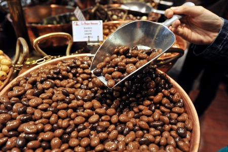 Cocoa Beans in Brusslesの写真素材