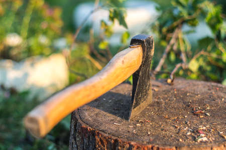 Old axe in the log and wooden chips after cutting firewood and cleaning the gardenの写真素材