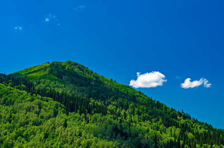 Blue sky, white clouds, green Altai Mountains at noon, Ridder, Kazakhstanの写真素材