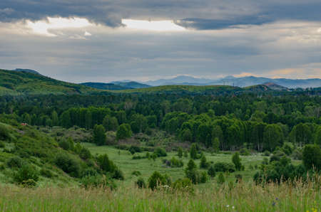 Tall grass meadow with a settlement, the forest, mountains and cloudy sky in the background