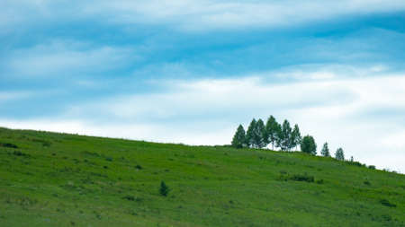 A hill with green trees and meadows, white clouds on blue sky, Altai Mountains, Kazakhstanの写真素材