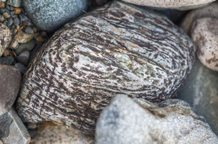 Colorful stones on a mountain river bank