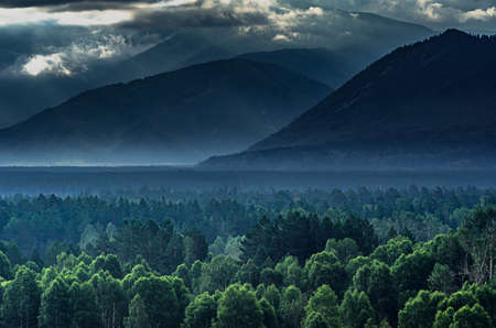 Dramatic sunrise in the mountains with thick evergreen forest in foreground, Altai Mountains, Kazakhstanの写真素材