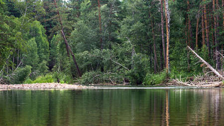 River in the forest with trees reflection, Altai Mountains, Kazakhstanの写真素材