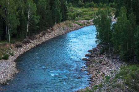 Fast splashing mountain river with the forest trees along the rocky bank, Altai Mountains,...