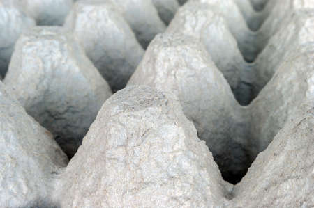 Underside of an Empty Biodegradable Molded Pulp Fiber Egg Carton Tray.