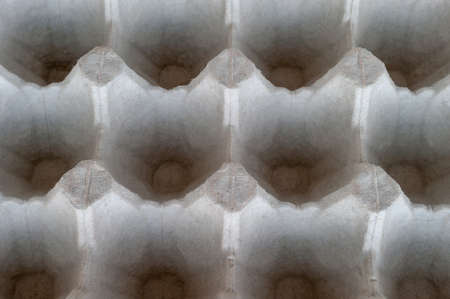 Top-Down View of an Empty Biodegradable Molded Pulp Fiber Egg Carton Tray.