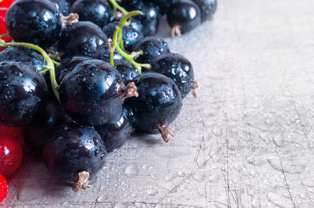 Black and Red Currant Berries Covered with Water Droplets on Scratched Grey Surface. Organic Background.の写真素材