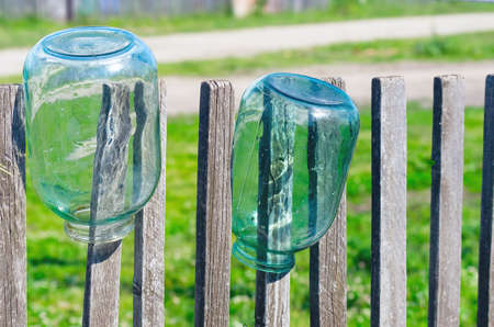 Washed Three Liter Glass Jars Left to Dry Upside Down on Weathered Timber Picket Fence on a Sunny Summer Day.の写真素材