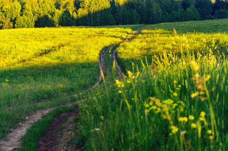 Downhill Country Dirt Road Winding In Tall Grass at Sunset, Altai Mountains, Kazakhstan.の写真素材