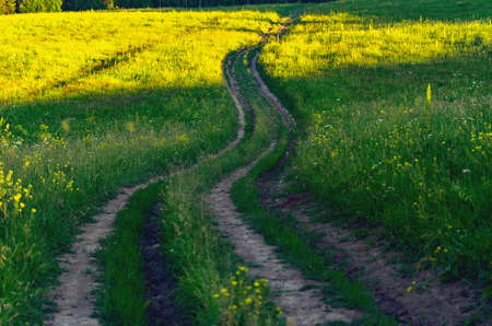 Downhill Country Dirt Road Winding In Tall Grass at Sunset, Altai Mountains, Kazakhstan.の写真素材