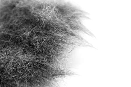 Macro Image of Black and White Cat Hair Collected After Grooming Session. Isolated on White Background.の写真素材