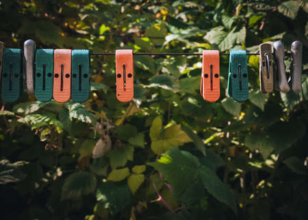 Plastic and Metal Clothespins on Clothes Line on Blurred Green Leaves Background on a Sunny Summer Day.の写真素材