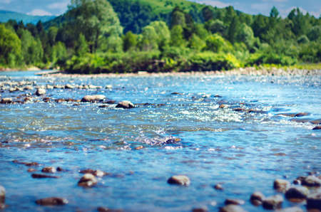 Mountain Landscape on a Sunny Summer Day with a River Splashing and Flowing Over Rocks, Evergreens and Trees on the Banks, a Ridge In Background, Altai Mountains, Kazakhstan.の写真素材