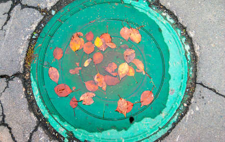 Yellow and Orange Autumn Leaves in a Puddle on a Manhole Green Cover, Cracked Asphalt Around.