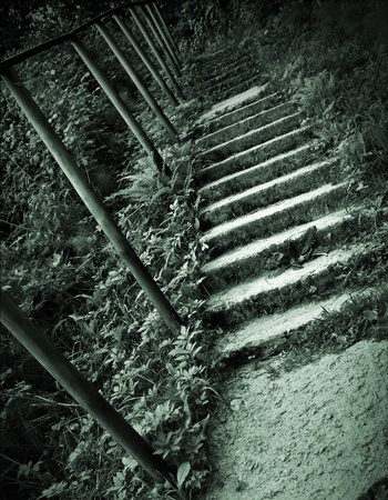 Old concrete stairs in the forest Monochrome green toned photo Old concrete stairs in the forest Monochrome green toned photo